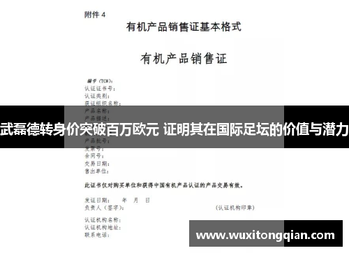 武磊德转身价突破百万欧元 证明其在国际足坛的价值与潜力