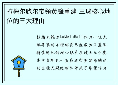 拉梅尔鲍尔带领黄蜂重建 三球核心地位的三大理由 拉梅尔鲍尔带领黄蜂重建 三球核心地位的三大理由